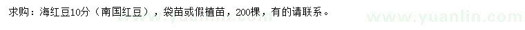 求購10公分海紅豆