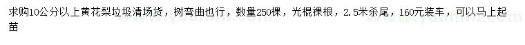 求購(gòu)10公分以上黃花梨