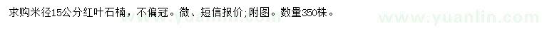 求購米徑15公分紅葉石楠