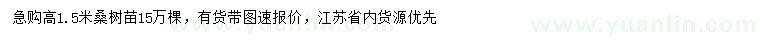 求購(gòu)高1.5米桑樹(shù)