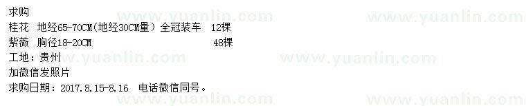 求購胸徑18-20公分紫薇、地經(jīng)65-70公分桂花