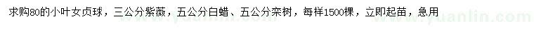 求購(gòu)小葉女貞球、紫薇、白蠟等