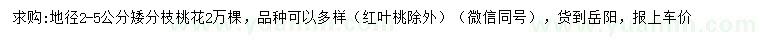 求購地徑2-5公分矮分枝桃花