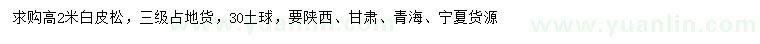 求購高2米白皮松