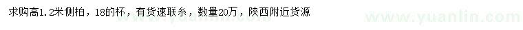 求購高1.2米側(cè)柏