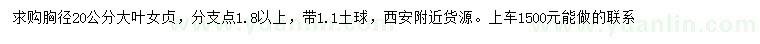 求購胸徑20公分大葉女貞