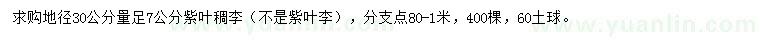 求購30公分量足7公分紫葉稠李