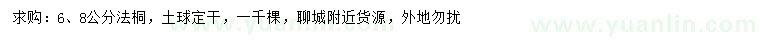求購6、8公分法桐