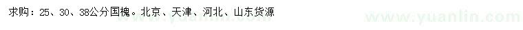 求購25、30、38公分國槐