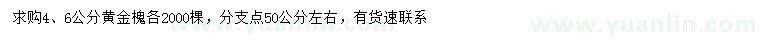 求購4、6公分黃金槐