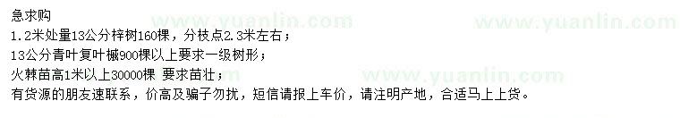 求購梓樹、青葉復(fù)葉槭、火棘