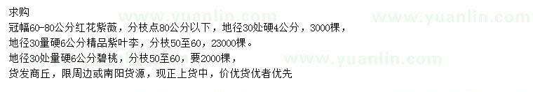 求購(gòu)紅花紫薇、紫葉李、碧桃