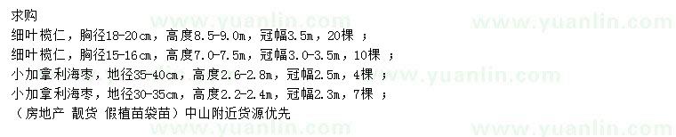 求購(gòu)胸徑15-16、18-20公分細(xì)葉欖仁、地徑30-35、35-40公分小加拿利海棗