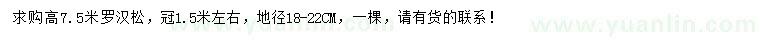 求購高7.5米羅漢松