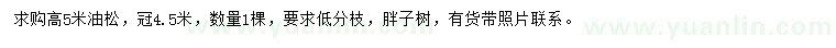 求購(gòu)高5米油松