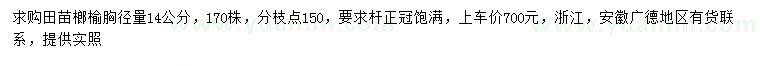 求購胸徑14公分榔榆