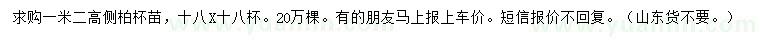 求購高1.2米側(cè)柏