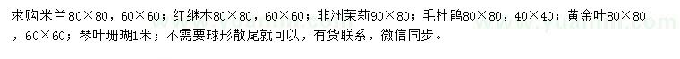 求購(gòu)米蘭、紅繼木、非洲茉莉等