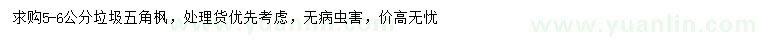 求購5-6公分垃圾五角楓