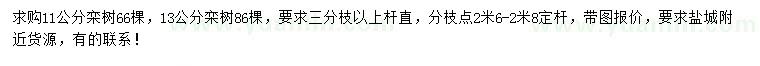 求購(gòu)11、13公分欒樹(shù)