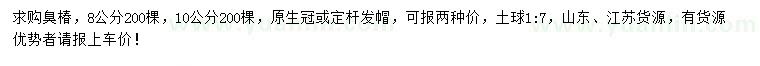 求購8、10公分臭椿