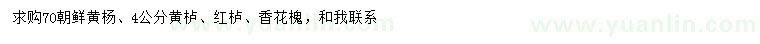 求購朝鮮黃楊、黃櫨、紅櫨等