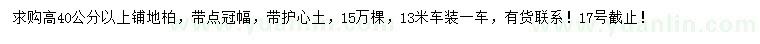 求購(gòu)高40公分以上鋪地柏