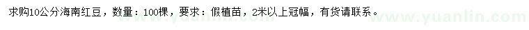 求購10公分海南紅豆
