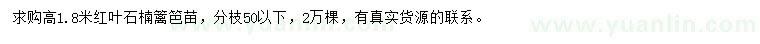 求購(gòu)高1.8米紅葉石楠