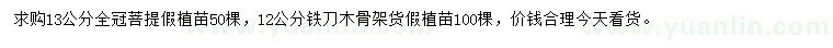 求購13公分菩提榕、12公分鐵刀木