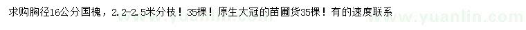求購胸徑16公分國槐