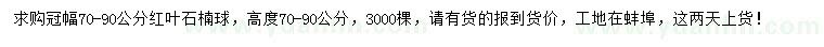 求購(gòu)冠幅70-90公分紅葉石楠球