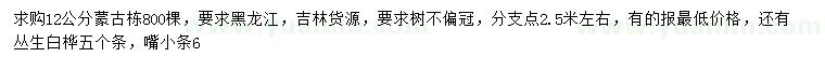 求購12公分蒙古棟、叢生白樺