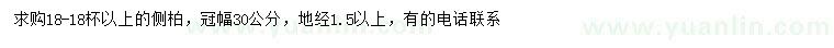 求購冠幅30公分側(cè)柏