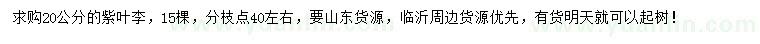 求購20公分紫葉李