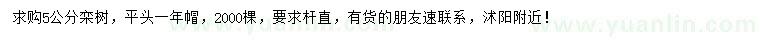 求購5公分欒樹