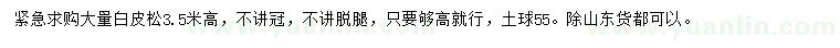 求購(gòu)高3.5米白皮松