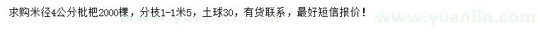 求購(gòu)米徑4公分枇杷