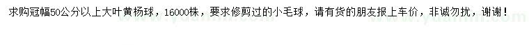 求購冠幅50公分以上大葉黃楊球