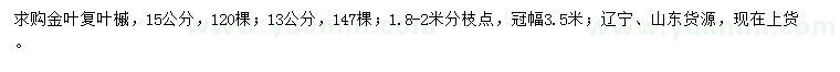 求購13、15公分金葉復葉槭