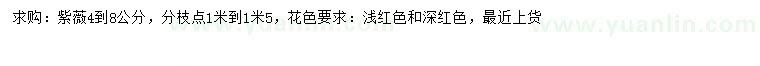 求購4-8公分紫薇