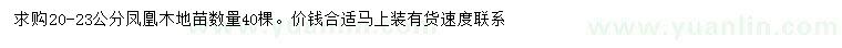 求購20-23公分鳳凰木
