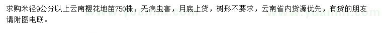 求購(gòu)米徑9公分以上云南櫻花