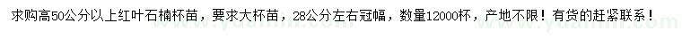 求購(gòu)高50公分以上紅葉石楠