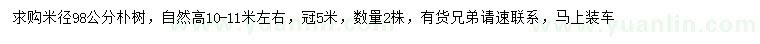 求購米徑98公分樸樹
