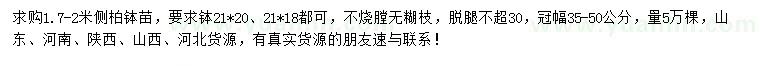 求購1.7-2米側(cè)柏
