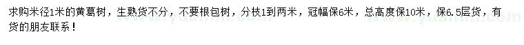 求購米徑1米黃葛樹