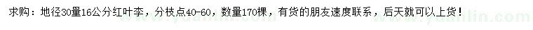 求購30量16公分紅葉李