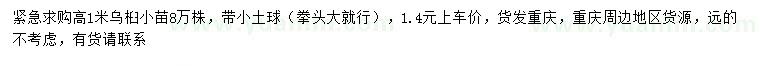 求購(gòu)高1米烏桕