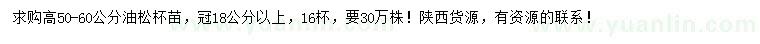 求購(gòu)高50-60公分油松